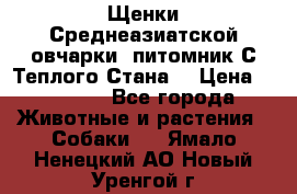 Щенки Среднеазиатской овчарки (питомник С Теплого Стана) › Цена ­ 20 000 - Все города Животные и растения » Собаки   . Ямало-Ненецкий АО,Новый Уренгой г.